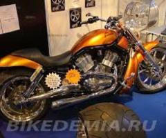Harley