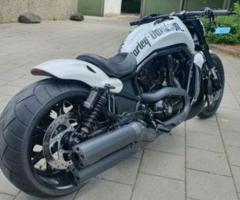 Harley