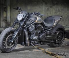 Harley